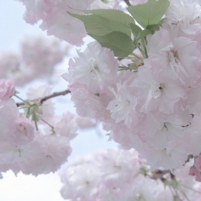 太和FurryQQ群介绍